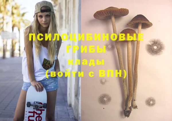 трава Заречный